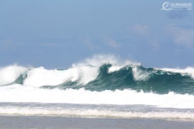 IMG 7335