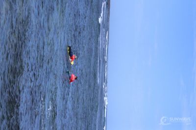 IMG 7596